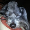 mrsrei2010